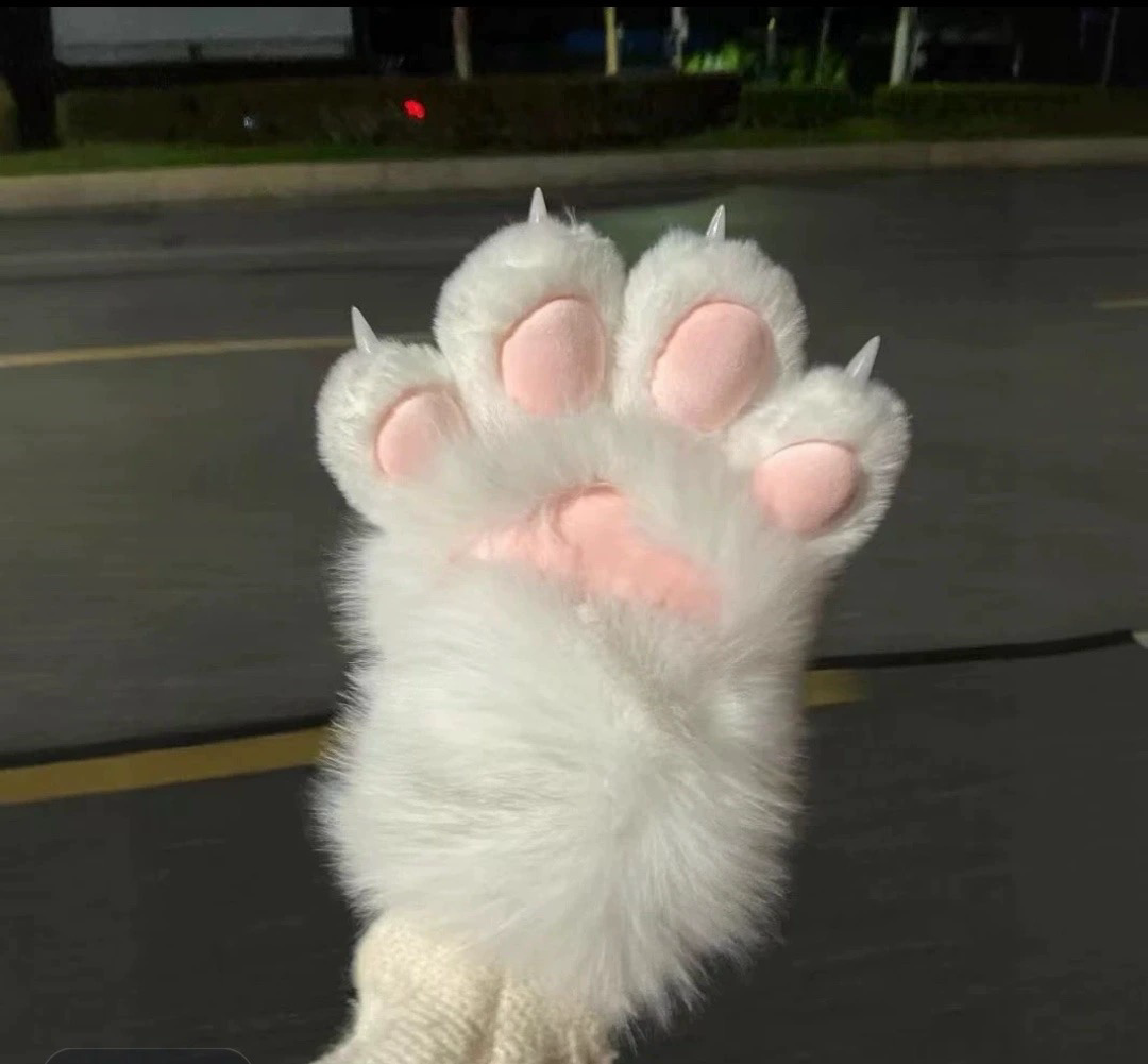 Kitten Gloves 2 pcs ( Price For 2 Pcs Products)