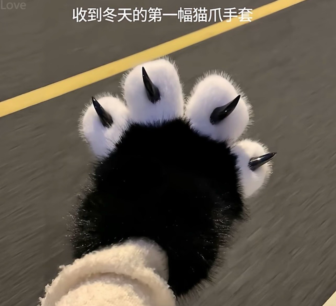 Kitten Gloves 2 pcs ( Price For 2 Pcs Products)