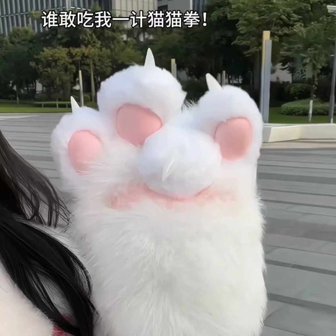 Kitten Gloves 2 pcs ( Price For 2 Pcs Products)
