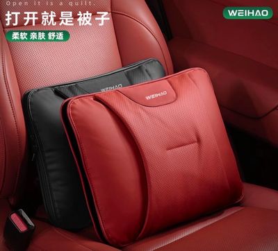 Car 2 In 1 Pillow ( For All Cars )