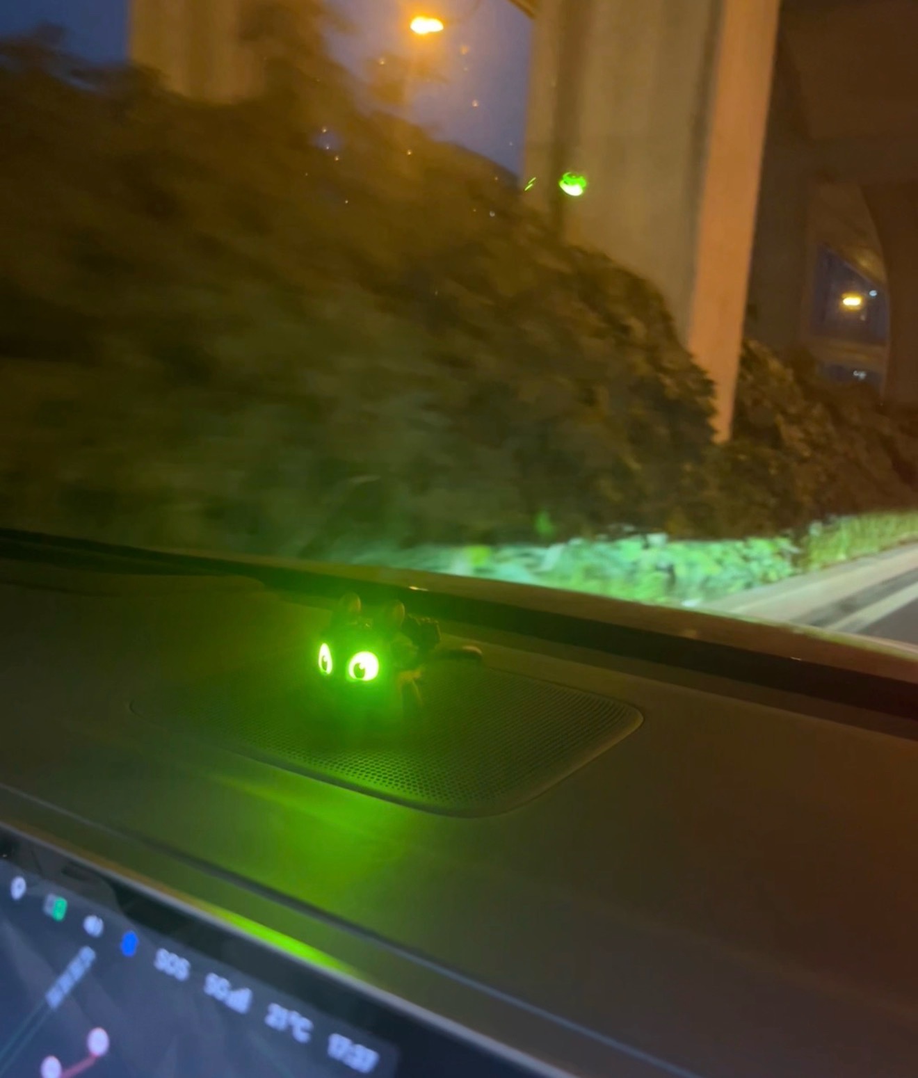 Mini Dragon Toy With Led