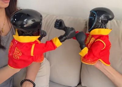 Funny Boxing