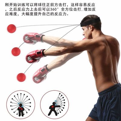 Boxing Ball With Gloves