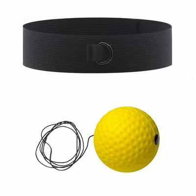 Boxing Ball With Gloves