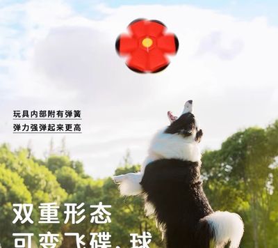 Ball Bouncing Toy ( Best Gift For Dog Cat Kids )