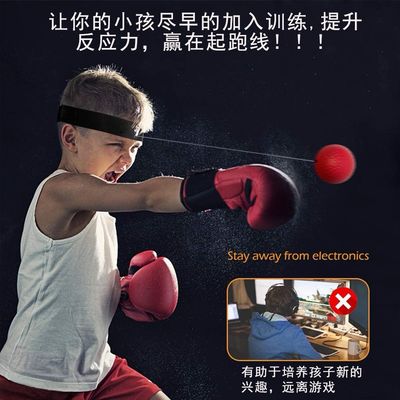 Boxing Ball With Gloves