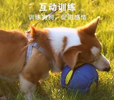 Ball Bouncing Toy ( Best Gift For Dog Cat Kids )