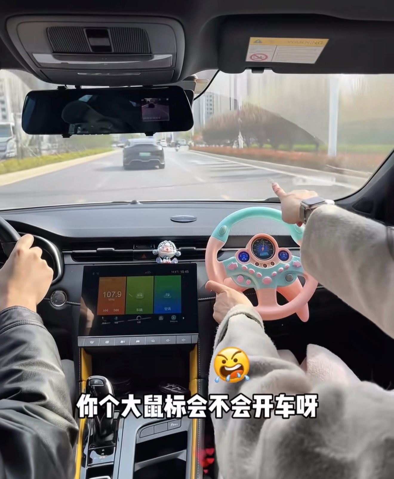 Funny co-pilot enlarged steering wheel push car Driving