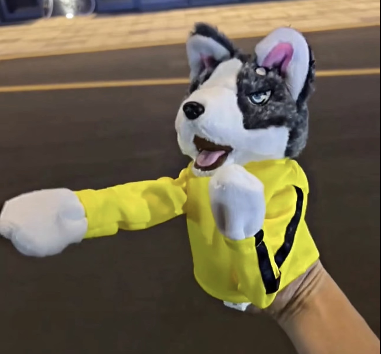 Toy Creative Boxing Showdown - Interactive Boxing Dog with Sound