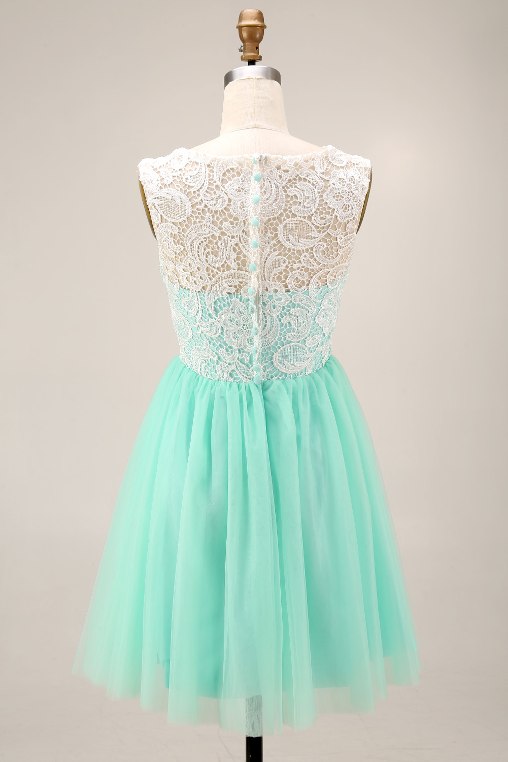 Elegant Tulle Homecoming Dress - Short Lace Embroidered Prom Gown with Illusion Boat Neck