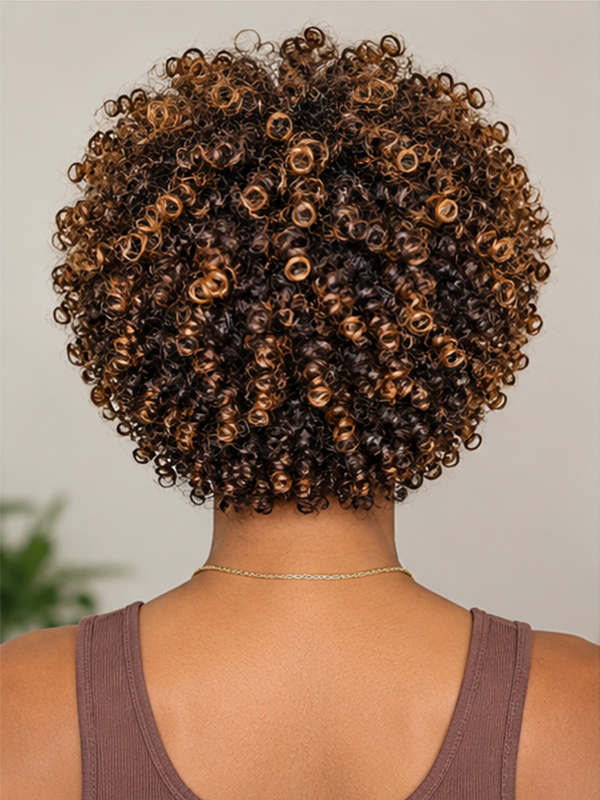 Short Curly Afro Wig with Honey Brown Highlights