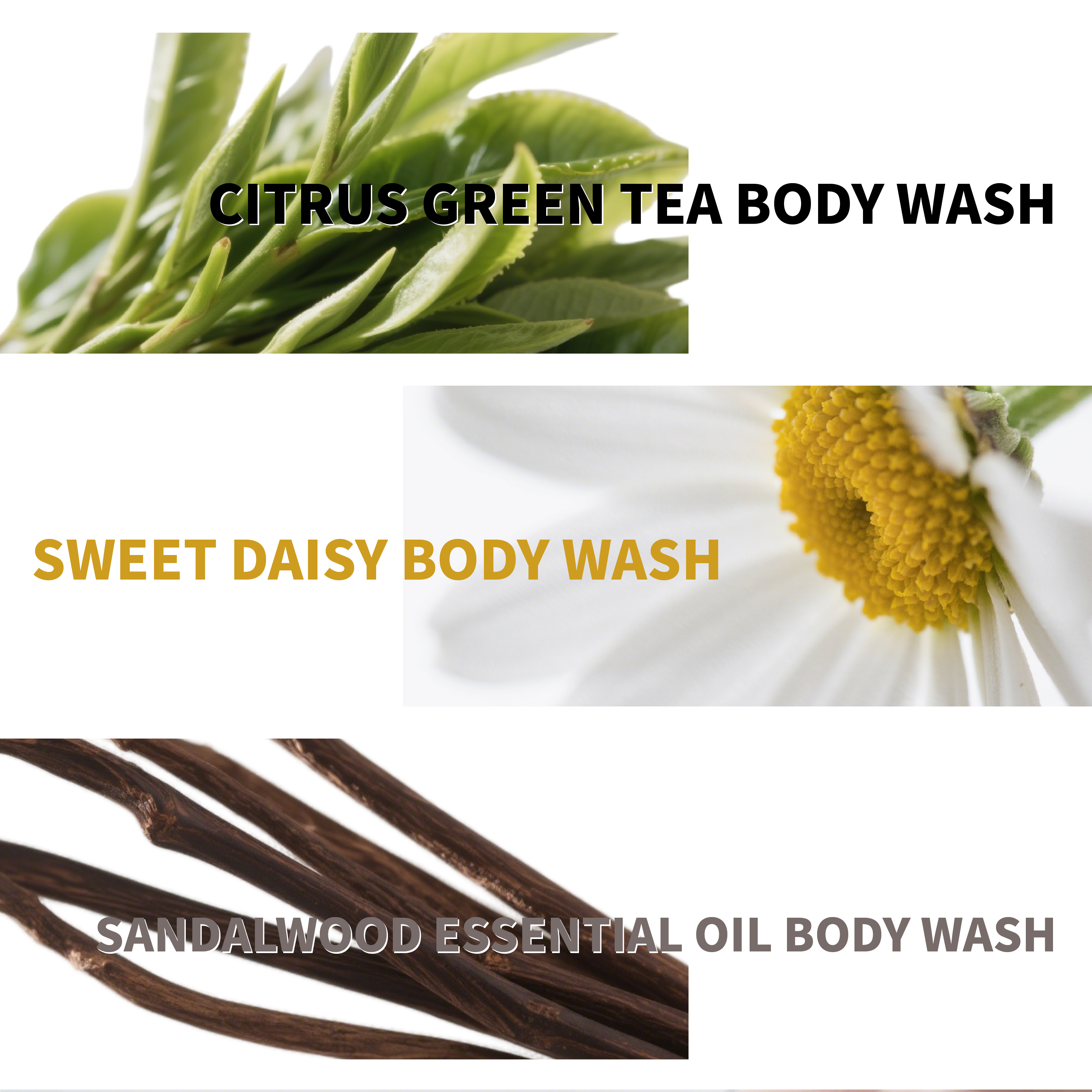3PCS Long-Lasting Body Fragrance Body Wash Set - Sandalwood Essential Oil, Sweet Daisy, Citrus Green Tea