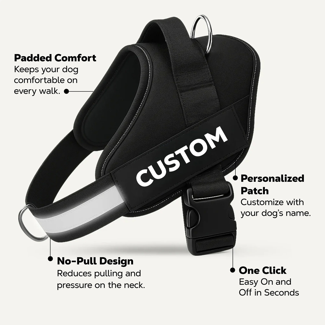 PawPilot™ No-Pull Dog Harness - Free for Personalized
