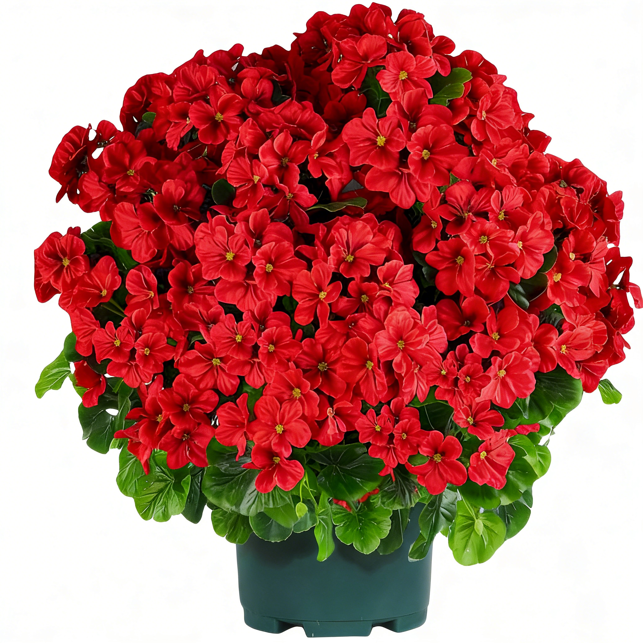🌸 Lush, UV-Resistant Artificial Geraniums – Real Look, No Maintenance! 🌞🏡💐