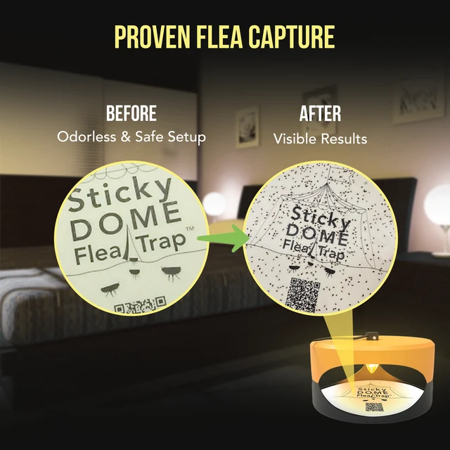 🔥 Last Day 80% OFF - Indoor Flea Light Trap – Light & Heat Activated Sticky Trap