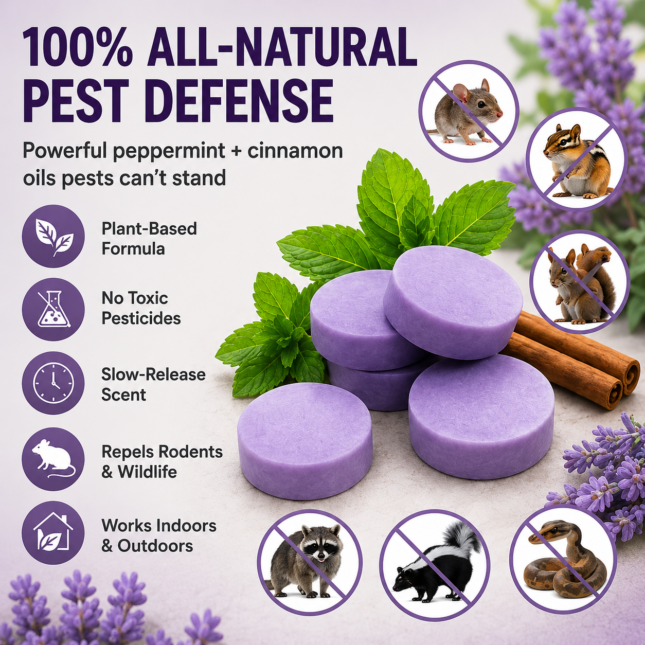 🔥70% OFF - 💊All-Natural Peppermint & Cinnamon Pest & Rodent Repellent Pucks