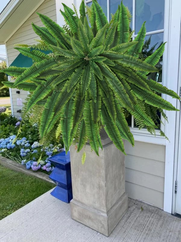 🔥75% OFF🌱 UV-Resistant Lifelike Artificial Boston Fern