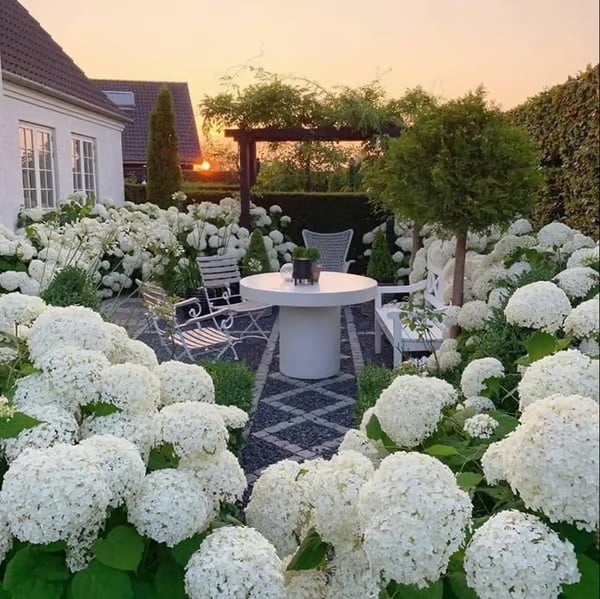 💕Outdoor Artificial Hydrangea Flowers💐