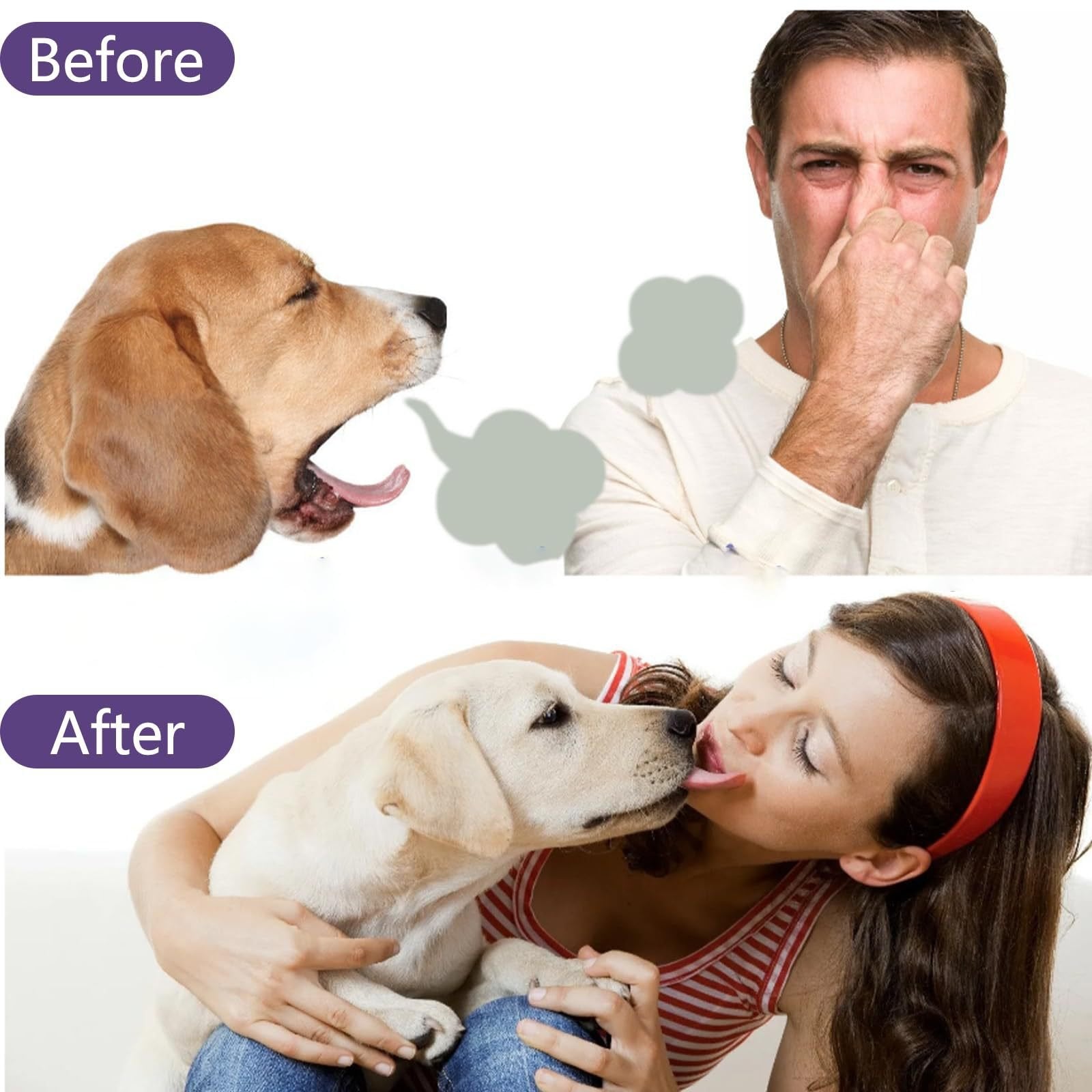 🔥Pet Tartar Remover Foam – Fresh Breath & Healthy Teeth, No Brushing Needed 