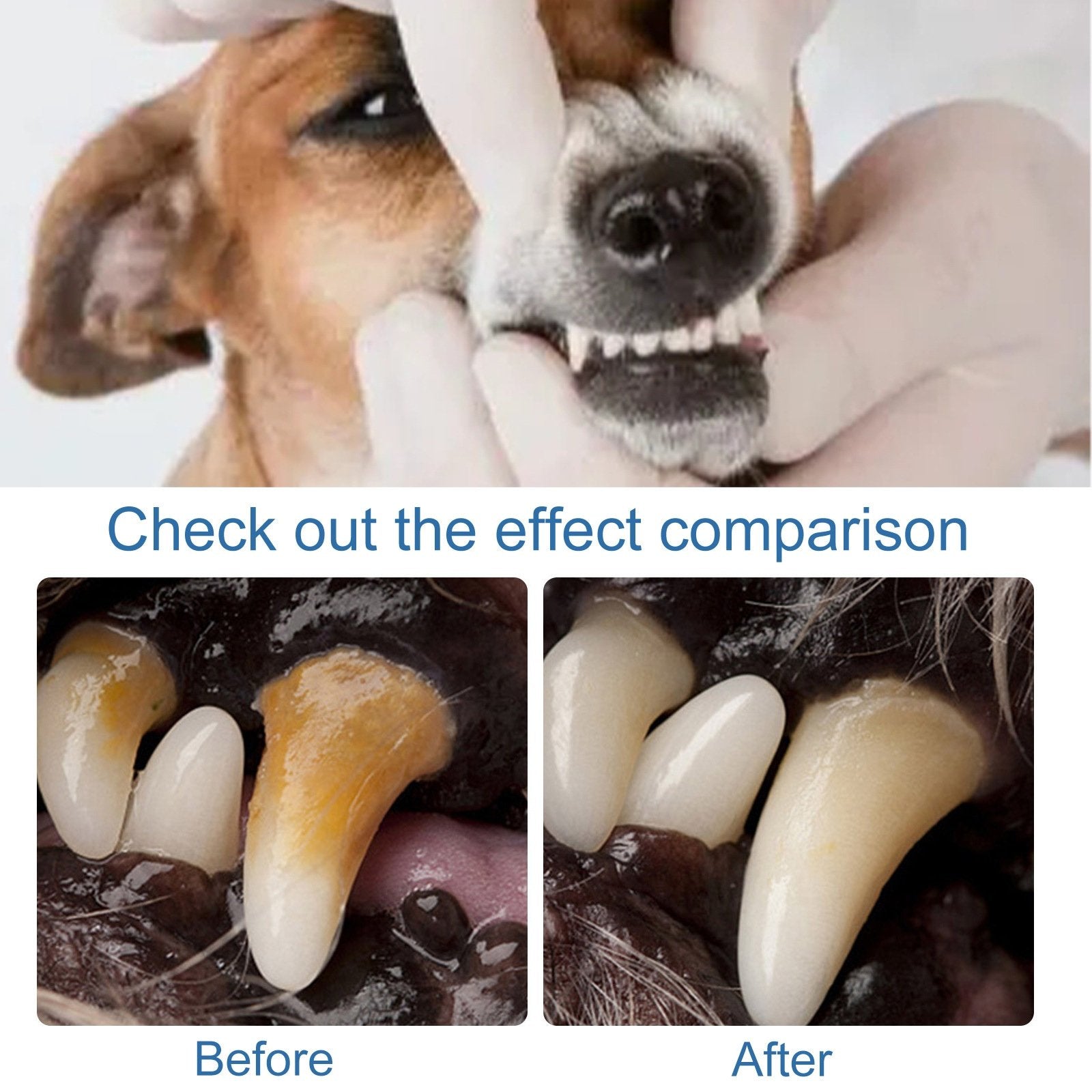 🔥Pet Tartar Remover Foam – Fresh Breath & Healthy Teeth, No Brushing Needed 