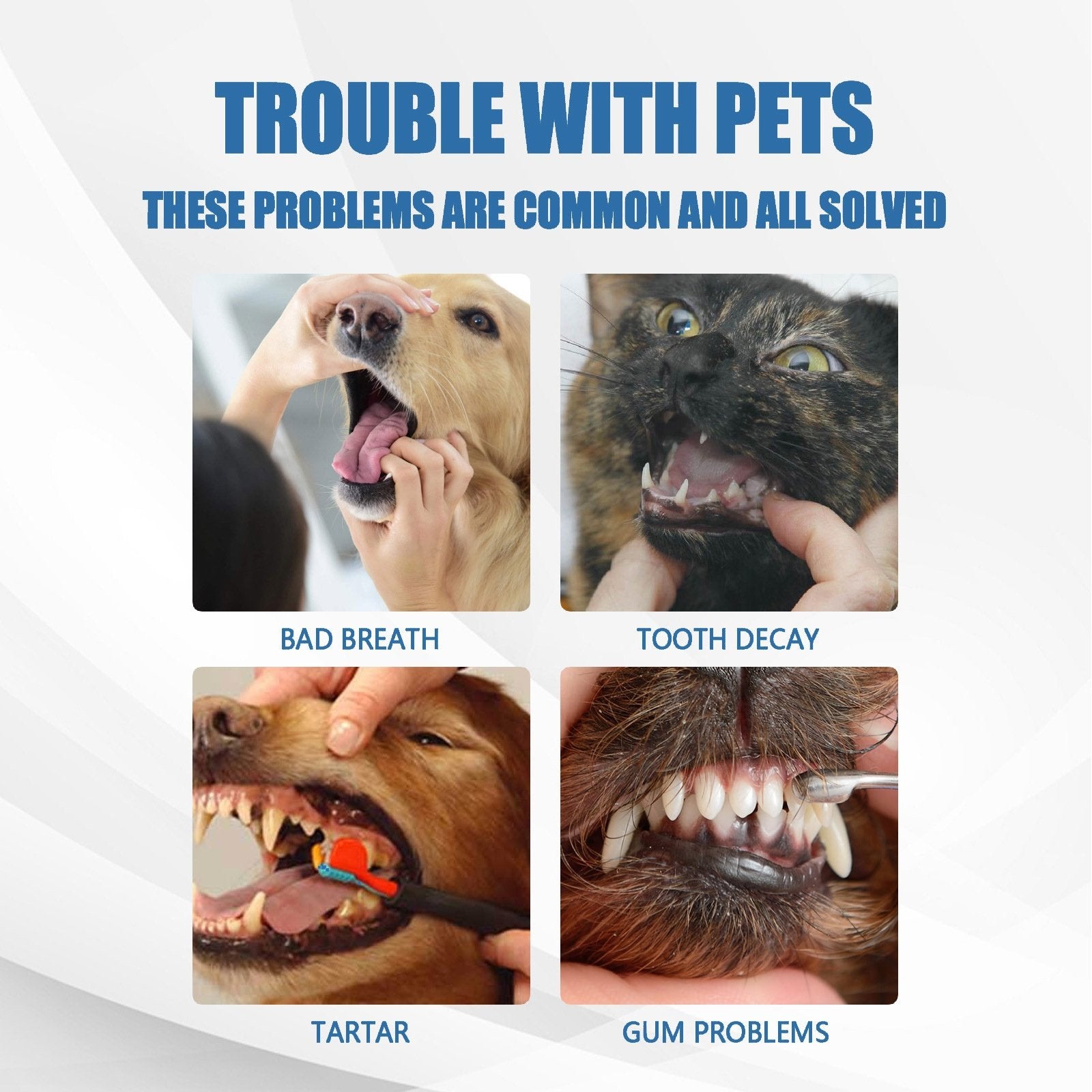 🔥Pet Tartar Remover Foam – Fresh Breath & Healthy Teeth, No Brushing Needed 