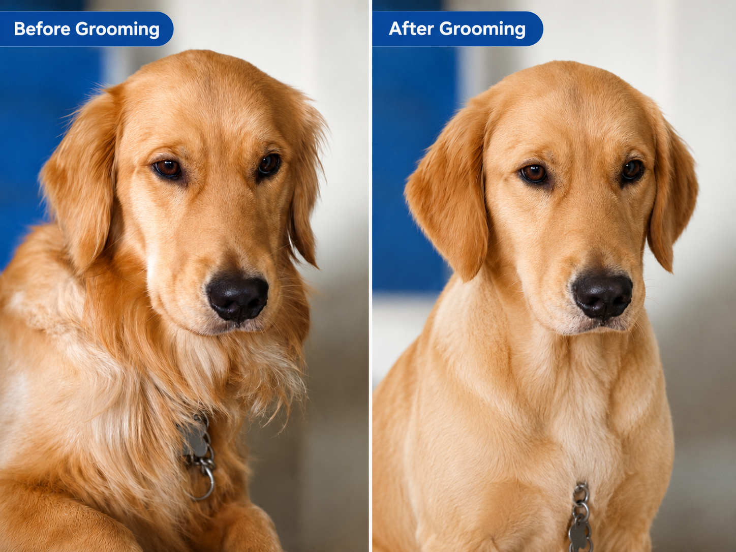 Suggested image: before and after comparison showing loose pet hair removed from a cat or dog coat with the comb, with collected fur visible beside the tool