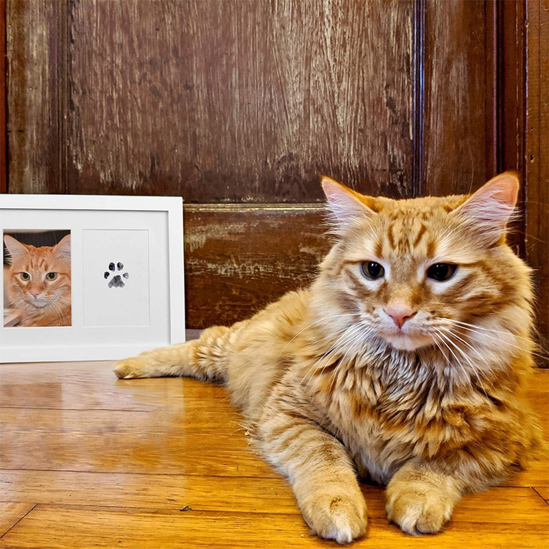 Wash-Free Pet Paw Print Ink Pad, DIY Cat Dog Pawprint Keepsake Kit