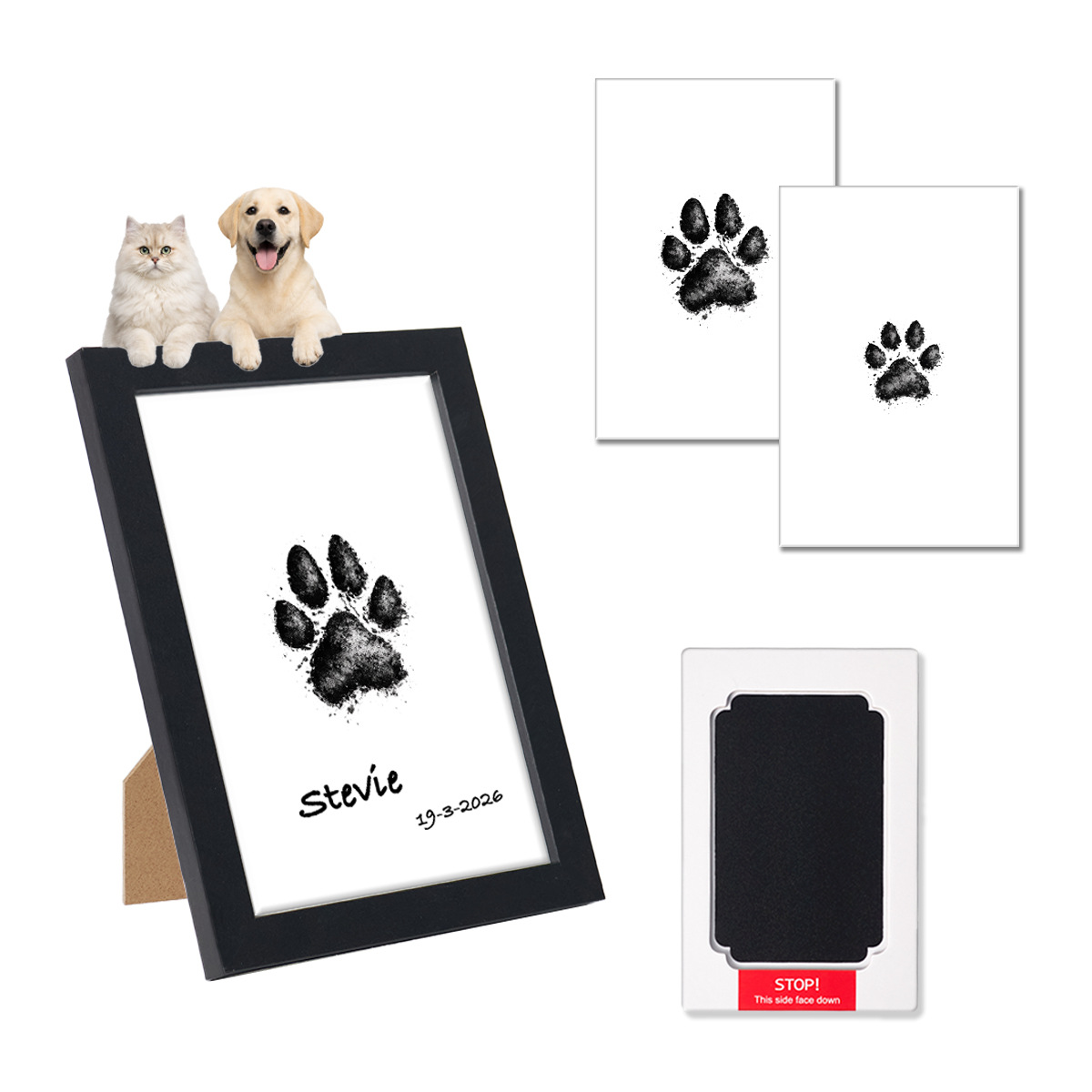 Pet Paw Print DIY Memorial Kit