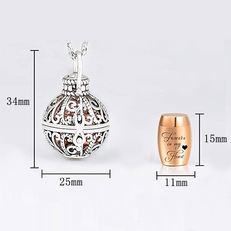 Stainless Steel Pet Urn Pendant Ashes Hair Keepsake Memorial Jewelry