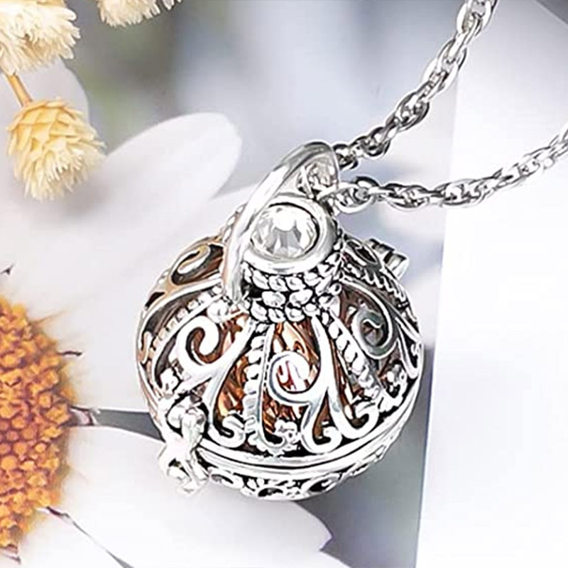 Stainless Steel Pet Urn Pendant Ashes Hair Keepsake Memorial Jewelry
