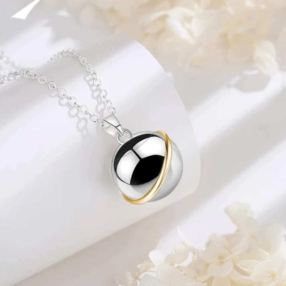 Stainless Steel Round Pet Cremation Necklace for Dog Cat Ashes & Fur