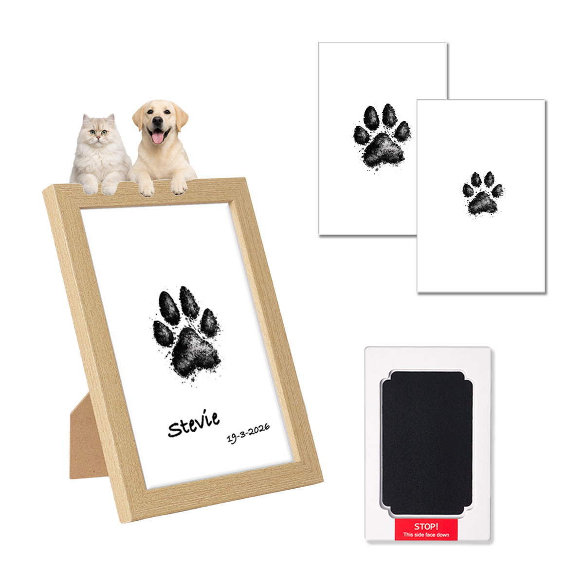 Pet Paw Print DIY Memorial Kit