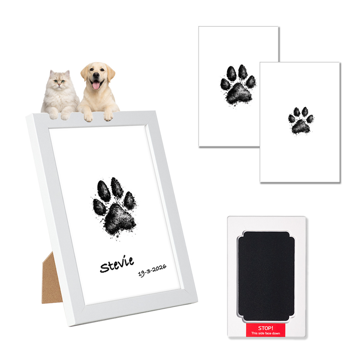 Pet Paw Print DIY Memorial Kit