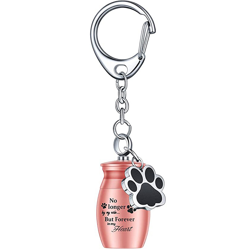 Pet Ashes Keychain with Dog Paw Alloy Pendant