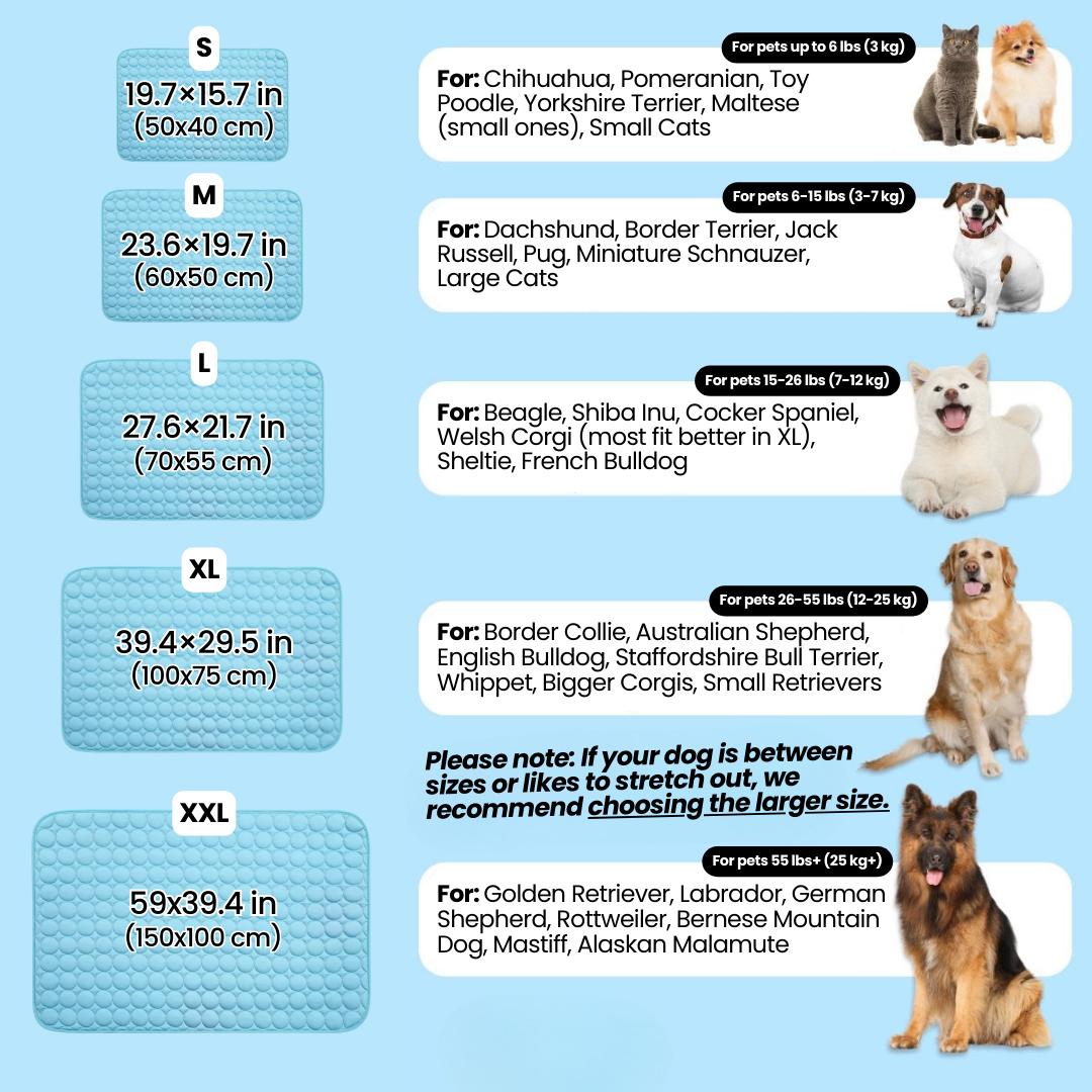 ❄️🐶 So bleibt Ihr Hund den ganzen Sommer über schön kühl – die „Instant Ice-Silk“-Kühlmatte für sofortigen Komfort! 🐾🔥