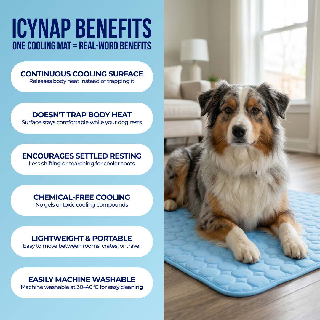 ❄️🐶 So bleibt Ihr Hund den ganzen Sommer über schön kühl – die „Instant Ice-Silk“-Kühlmatte für sofortigen Komfort! 🐾🔥