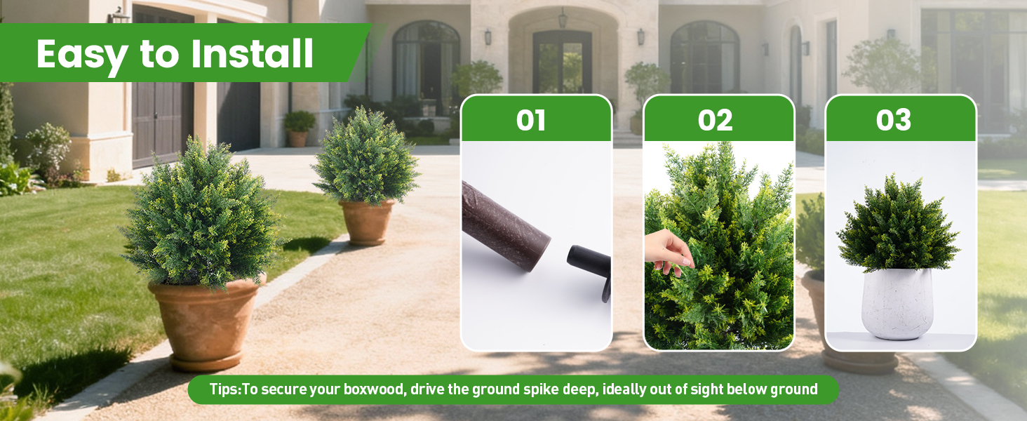 cedar tree