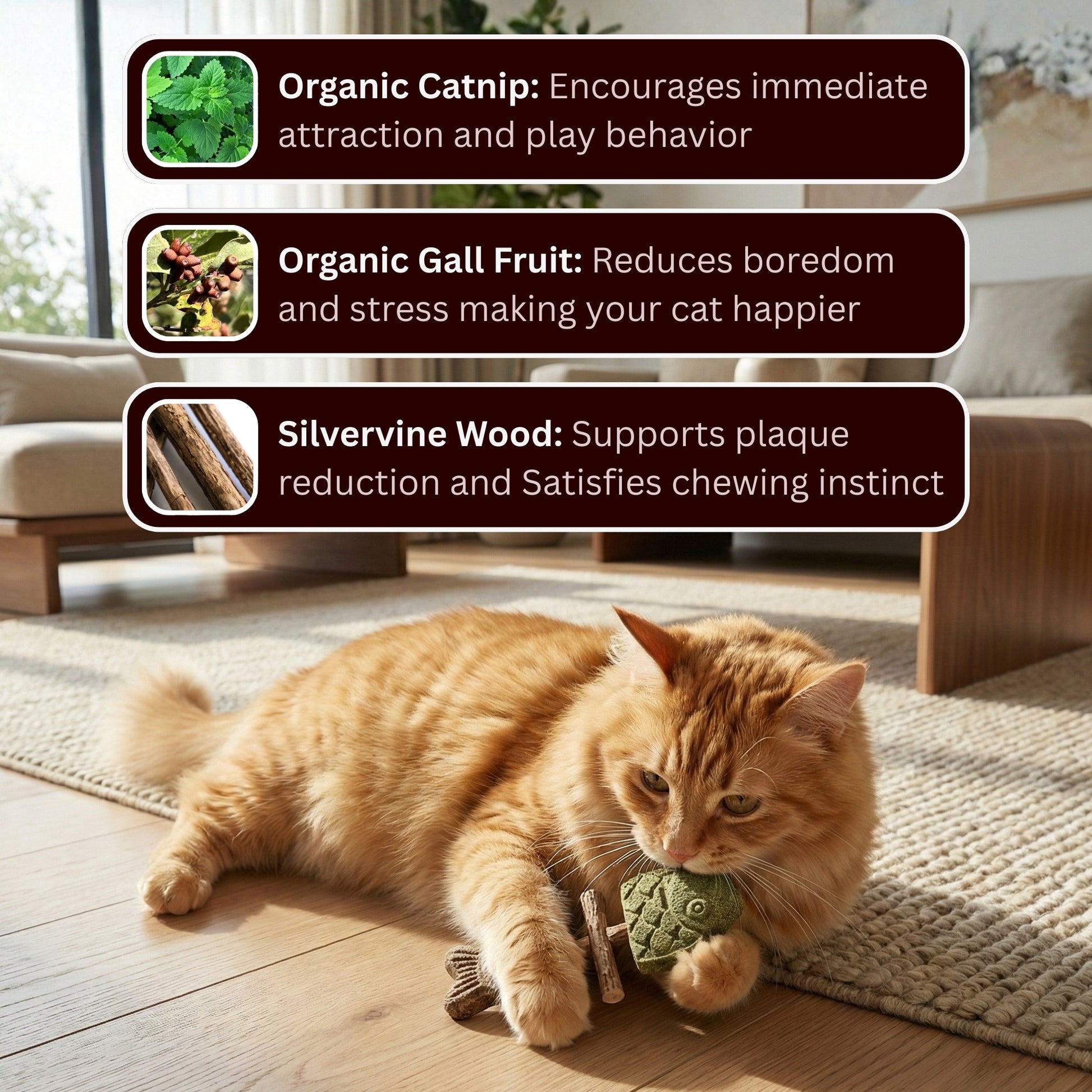 Catnip & Silvervine Chew