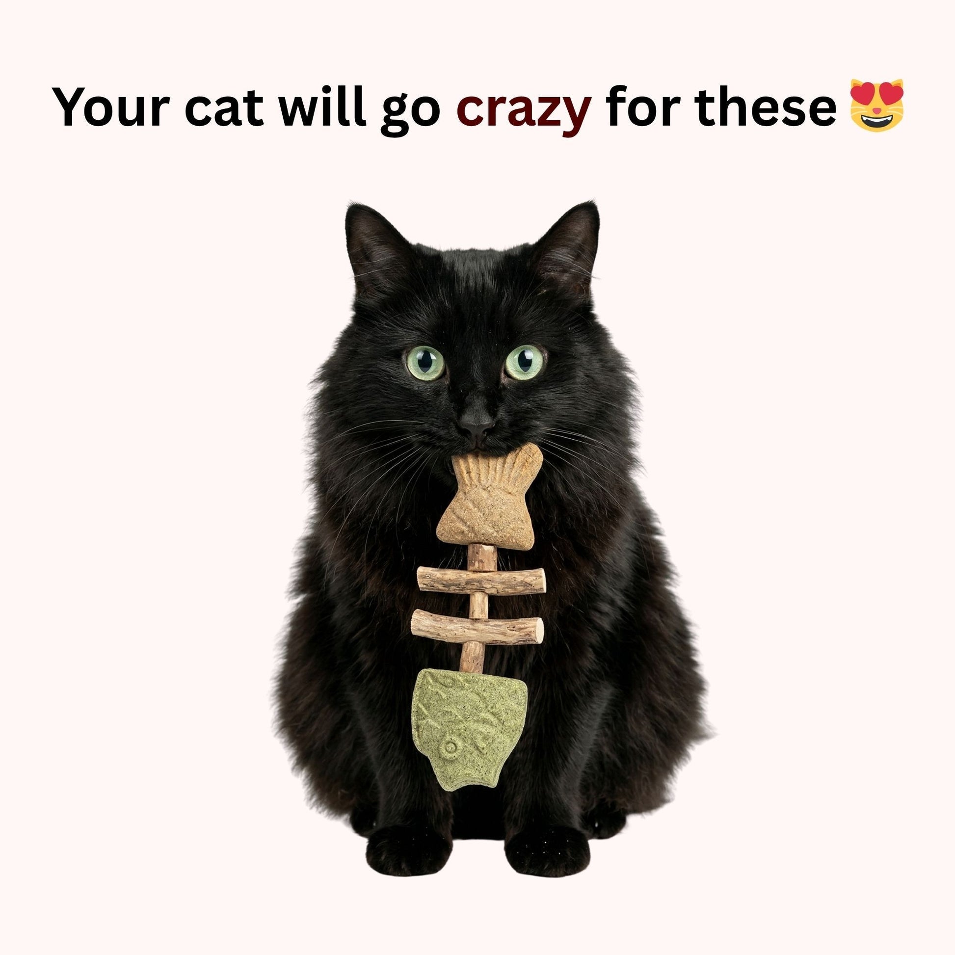 Catnip & Silvervine Chew