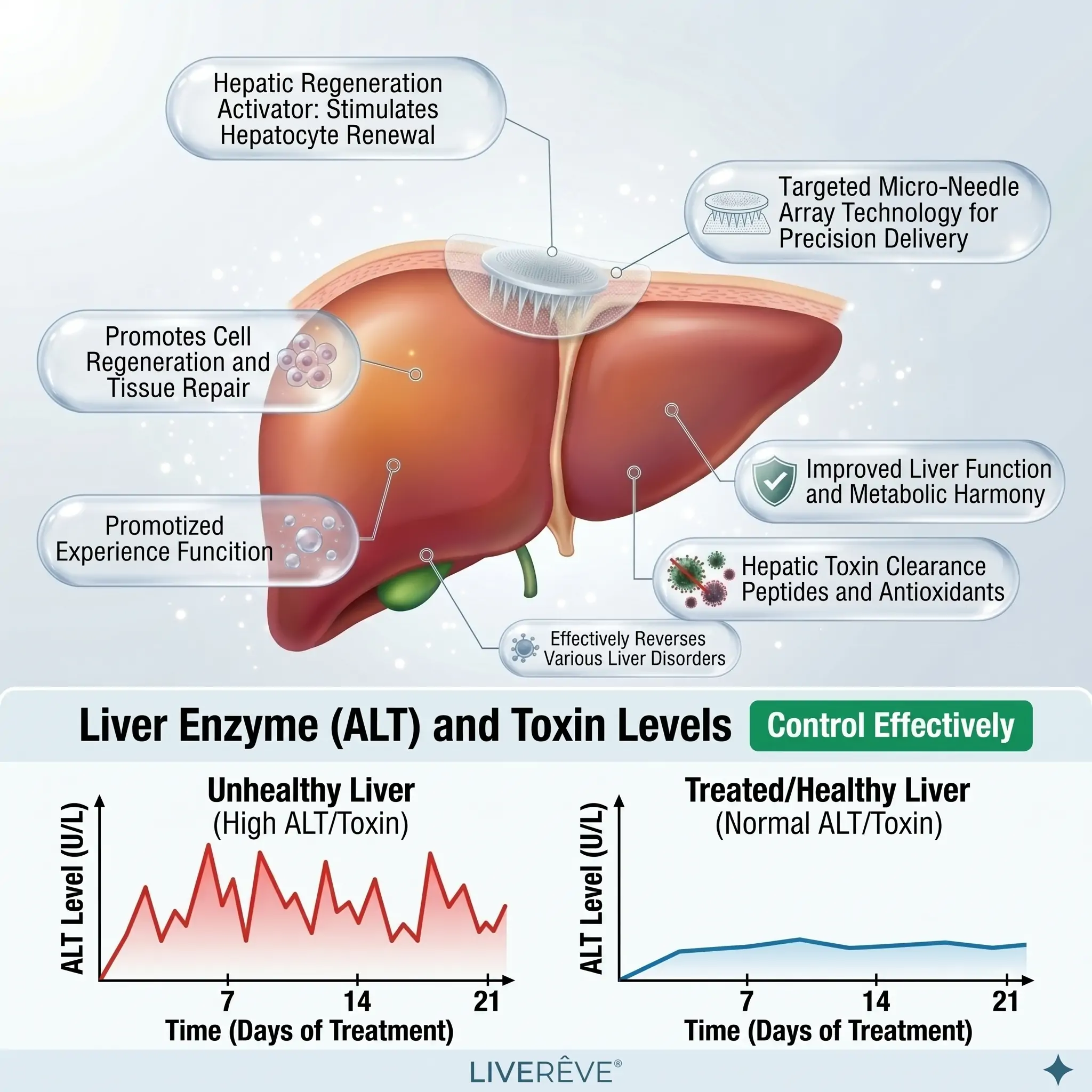 LIVERÊVE® Nano Microneedle Liver Support Patch - Powerful Liver Support - Detox & Repair - Lowers Blood Sugar and Lipids
