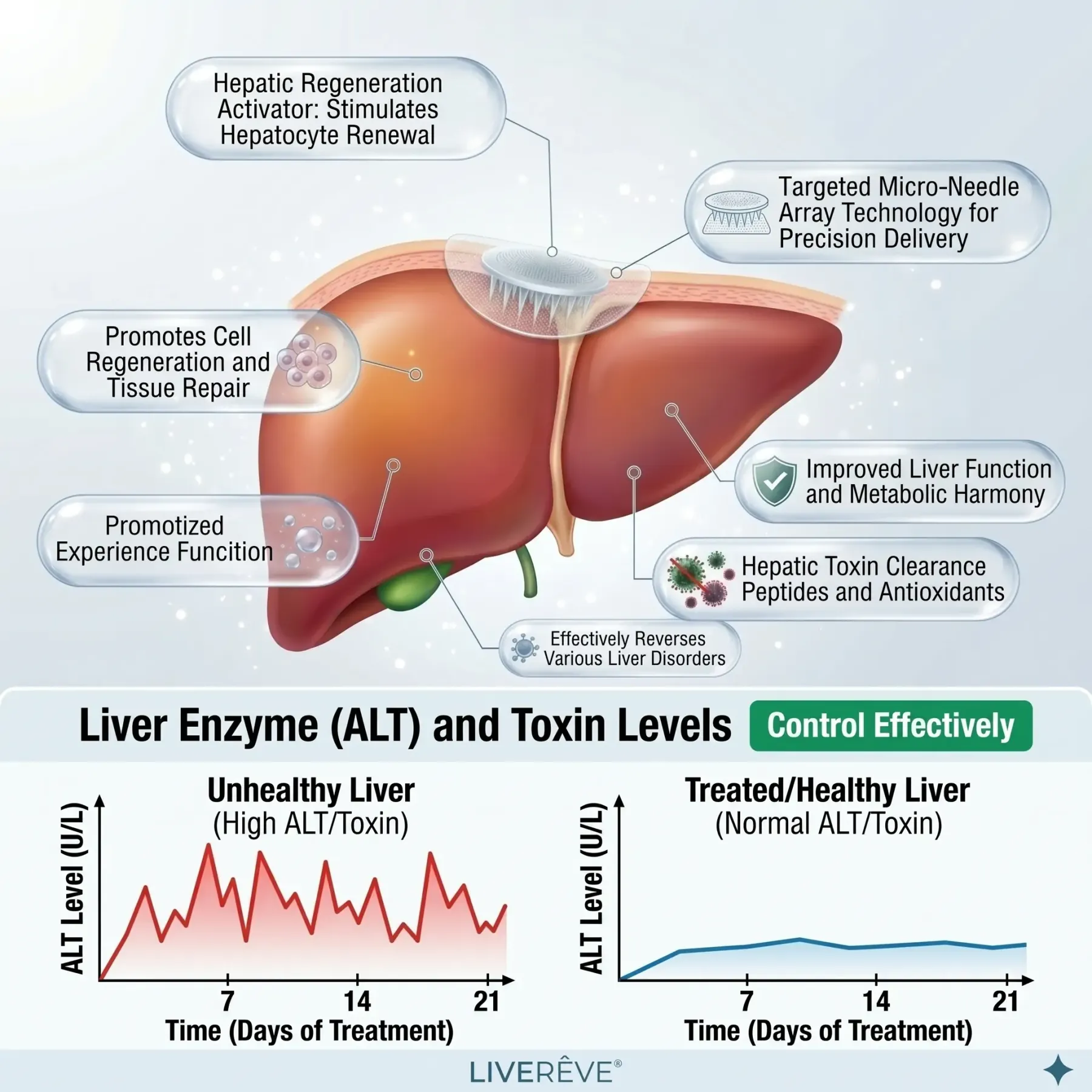 LIVERÊVE® Nano Microneedle Liver Support Patch - Powerful Liver Support - Detox & Repair - Lowers Blood Sugar and Lipids