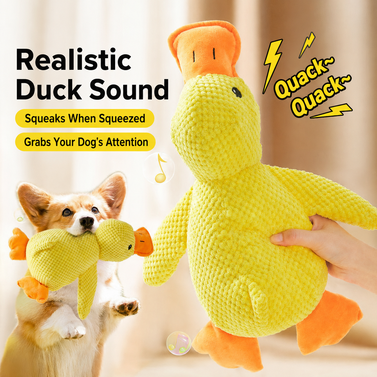Squeaky Duck