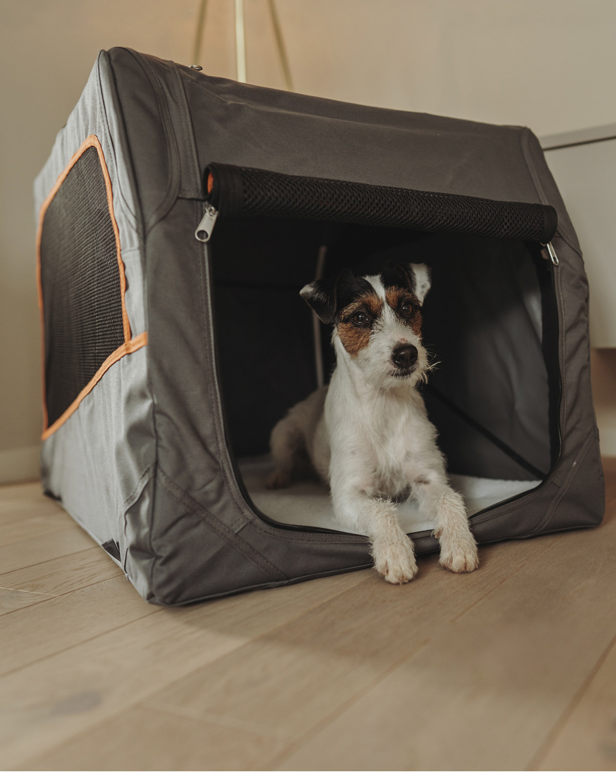 Outdoor Foldable Dog Crate