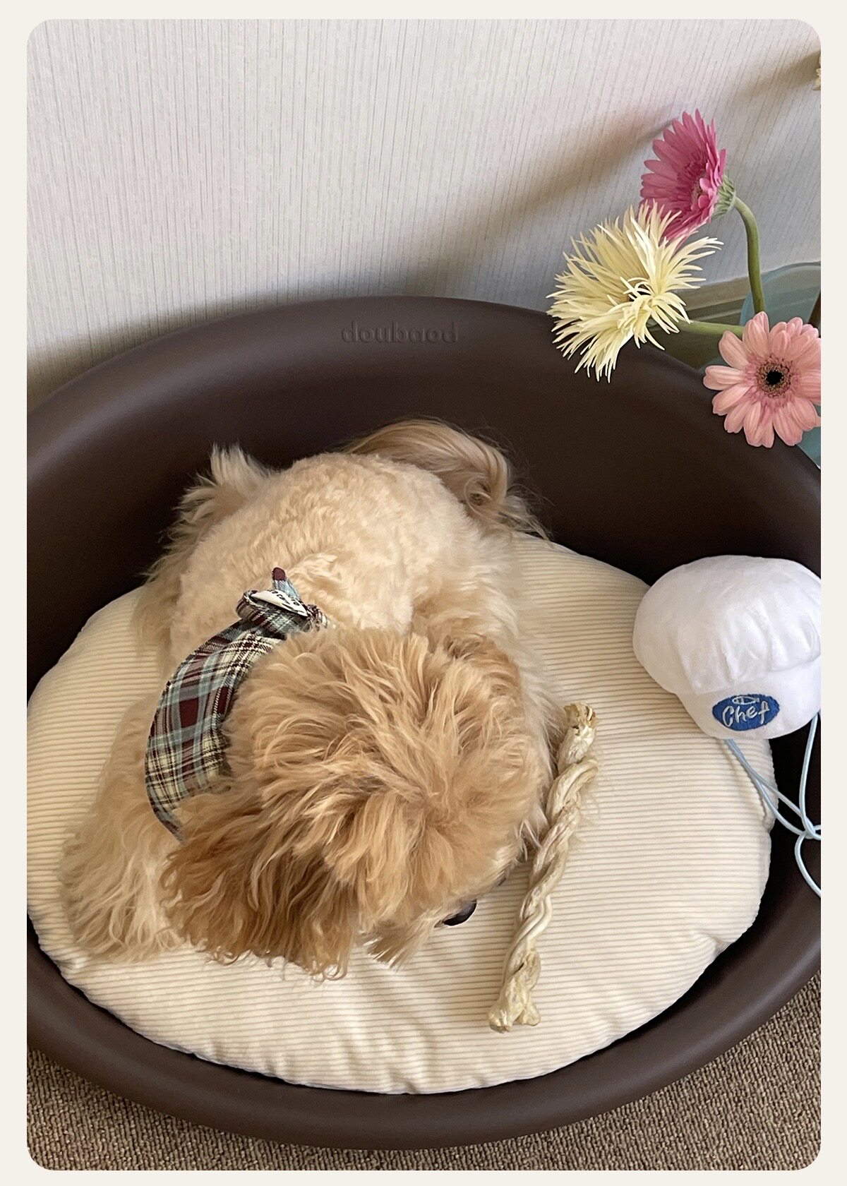 Doubaod Series Pet Bed