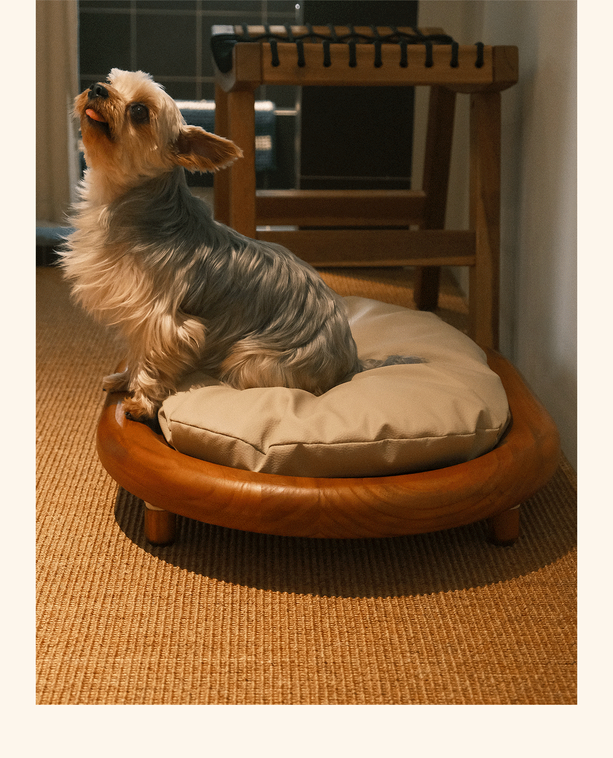 Pepeep Solid Wood Pet Bed (Suitable for All Cats & Small to Medium Dogs)
