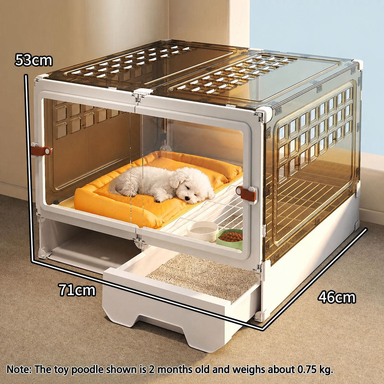 Transparent Pet Villa