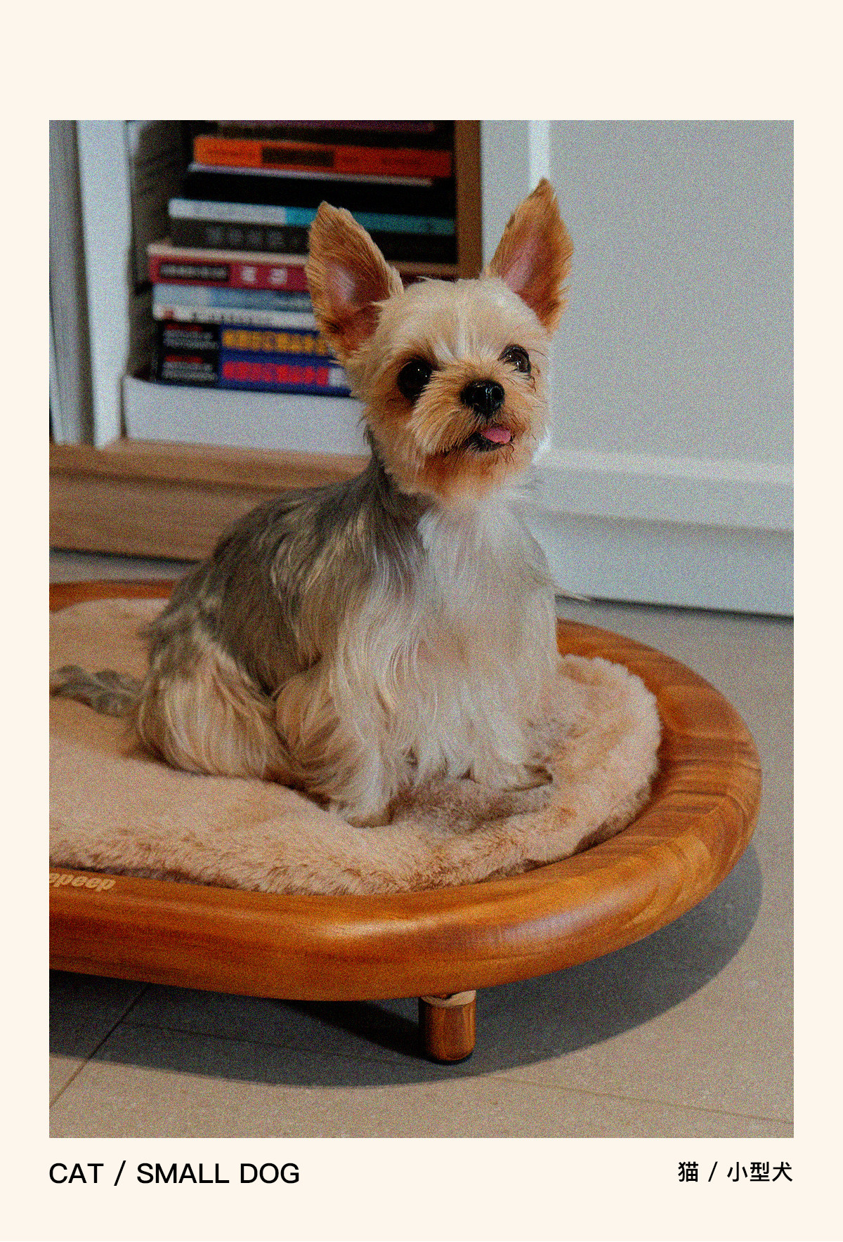 Pepeep Solid Wood Pet Bed (Suitable for All Cats & Small to Medium Dogs)