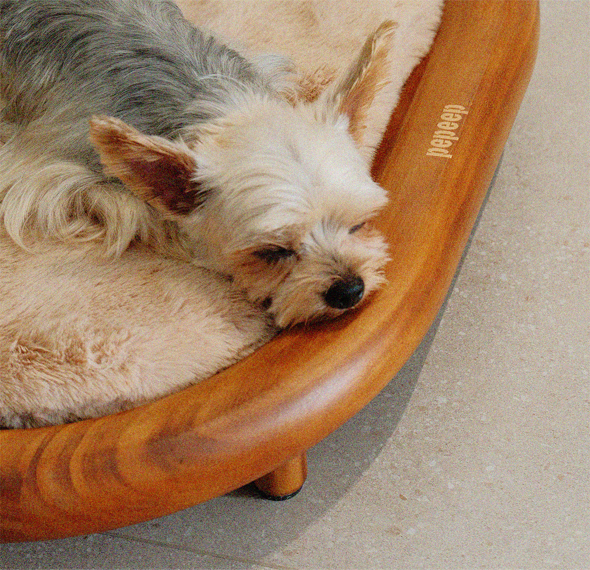 Pepeep Solid Wood Pet Bed (Suitable for All Cats & Small to Medium Dogs)