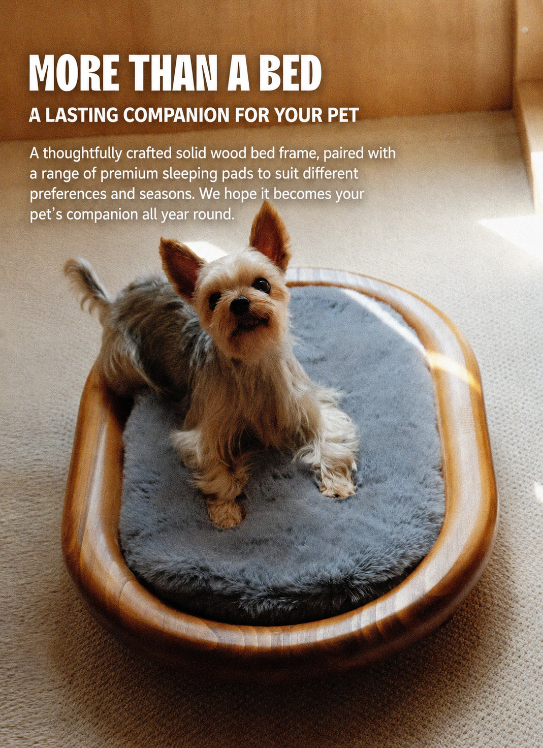 Pepeep Solid Wood Pet Bed (Suitable for All Cats & Small to Medium Dogs)