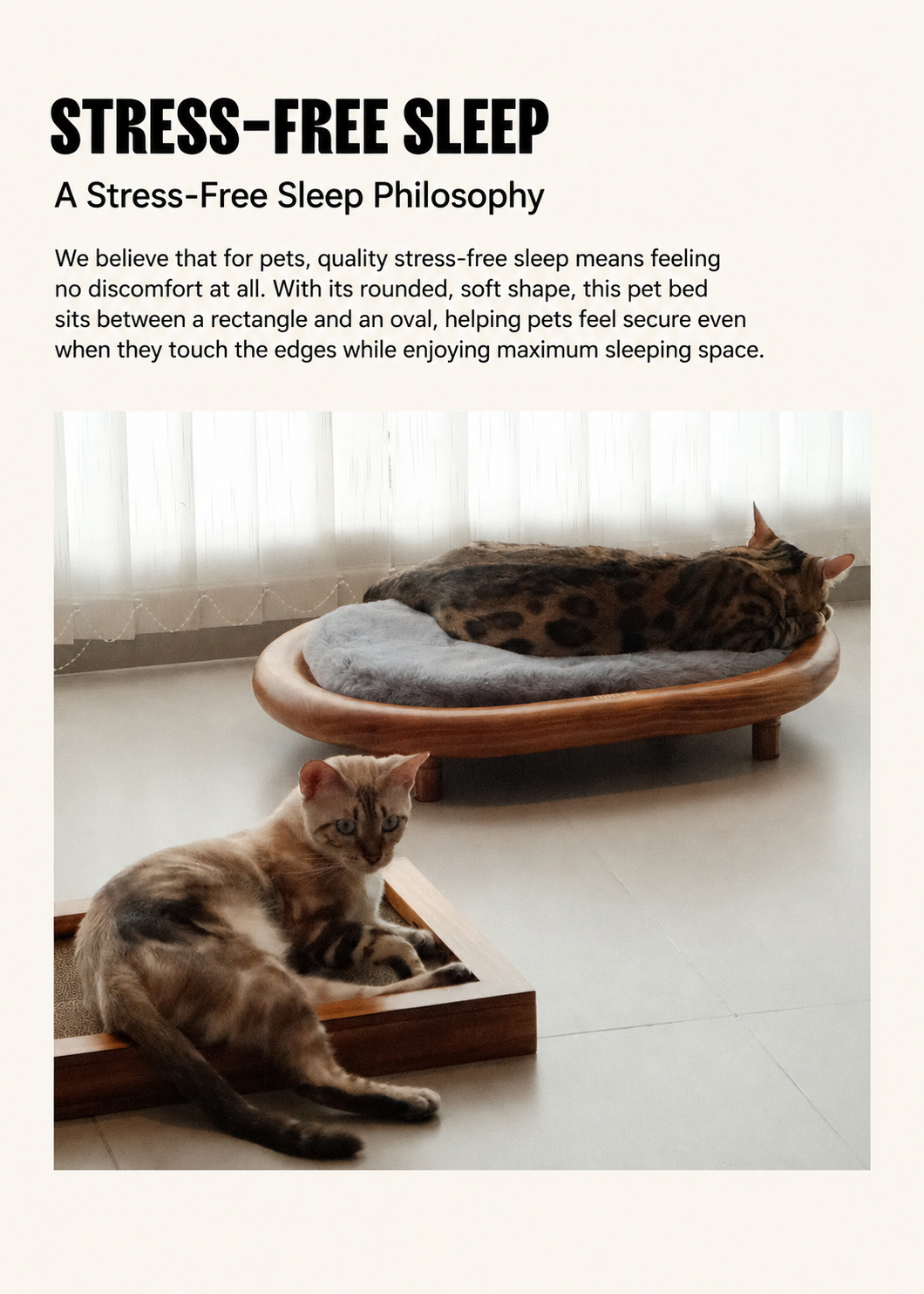 Pepeep Solid Wood Pet Bed (Suitable for All Cats & Small to Medium Dogs)